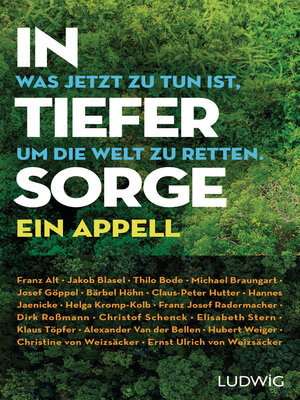 cover image of In tiefer Sorge